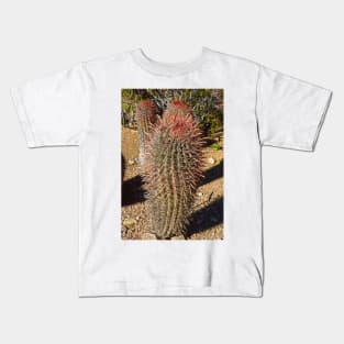 Desert Study 27 Kids T-Shirt